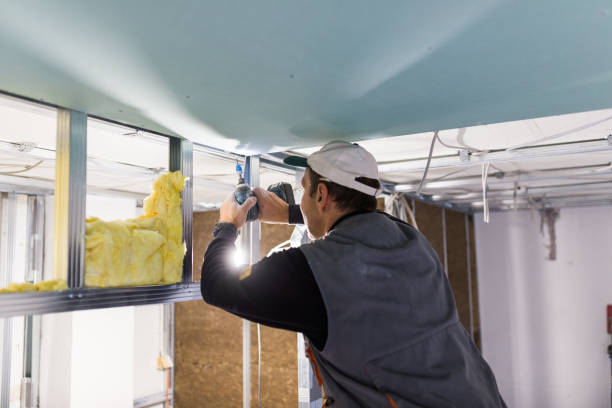 Best Insulation Installation Services in Ixonia, WI