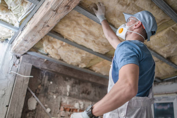 Best Types of Insulation in Ixonia, WI