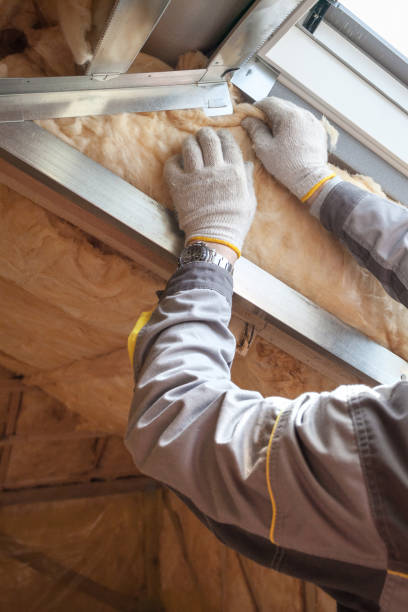 Best Energy Efficiency Solutions in Ixonia, WI