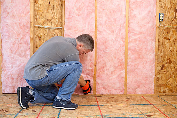 Best Residential Insulation in Ixonia, WI
